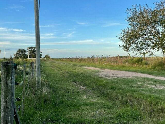 Img 20250320 wa0040