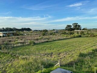 Img 20250320 wa0034