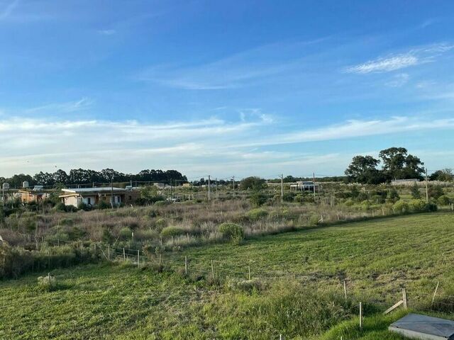 Img 20250320 wa0035
