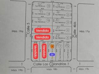 Lote%208%2020x50%201000%20metros