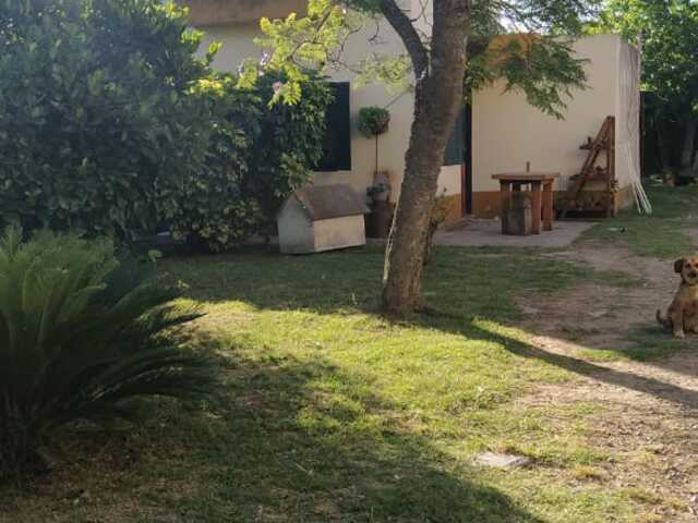 Whatsapp%20image%202020 12 16%20at%2013.10.34