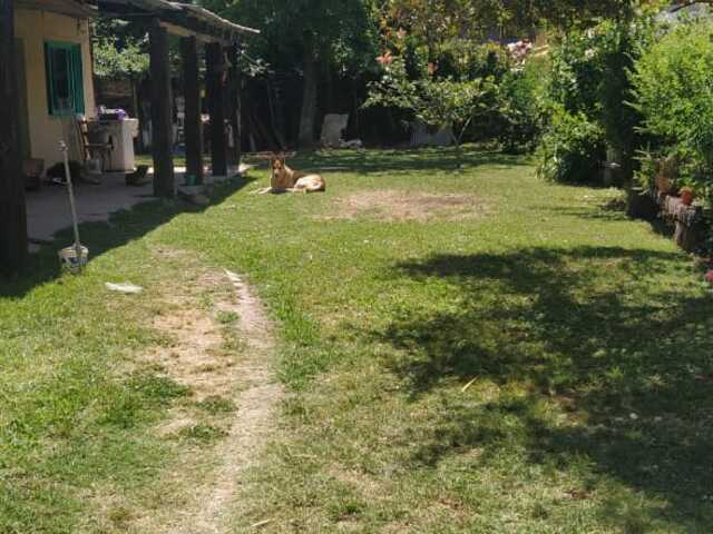Whatsapp%20image%202020 12 16%20at%2013.10.39
