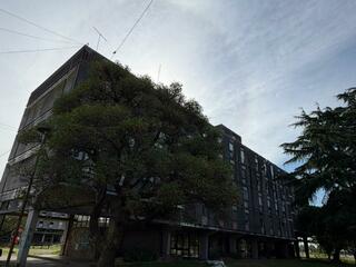 Whatsapp%20image%202026 02 20%20at%2015.55.06